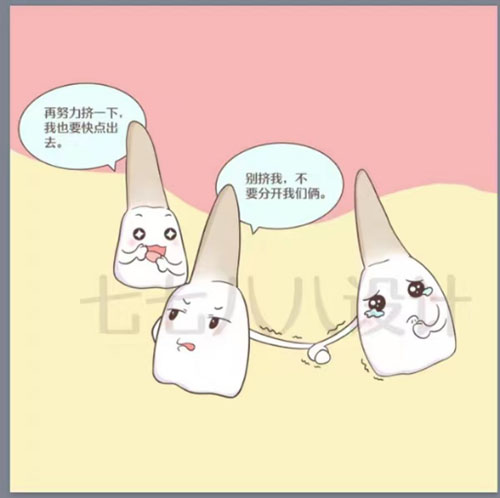图片13.jpg