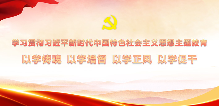 学习贯彻习近平新时代中国特色社会主义思想主题教育